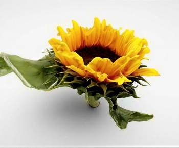 Modern Flowers-ID:912158017