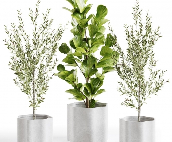 Modern Ground Green Plant Potted Plants-ID:530560081