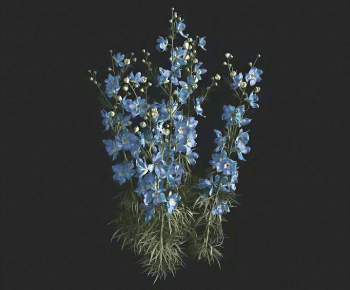 Modern Vine-ID:932504892