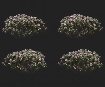 Modern Tree-ID:346507078