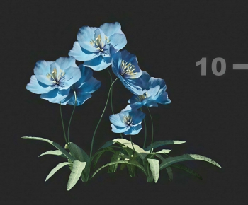 Modern Flowers-ID:113297943