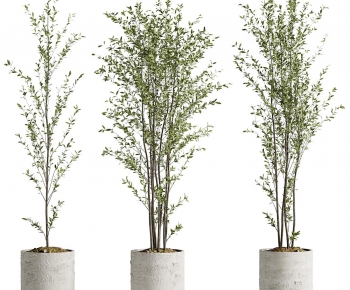Modern Ground Green Plant Potted Plants-ID:213318112