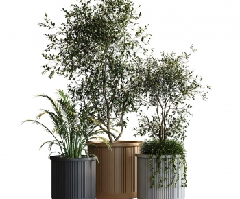 Modern Ground Green Plant Potted Plants-ID:243729112