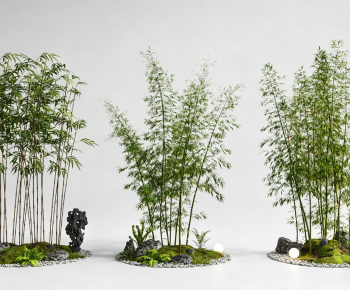 Modern Bamboo-ID:189290054