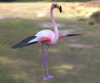 Modern Animal-ID:611845975