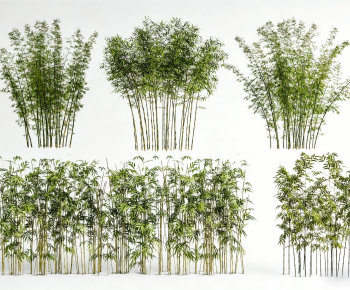 Modern Bamboo-ID:516366005