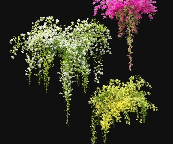 Modern Vine-ID:711761958