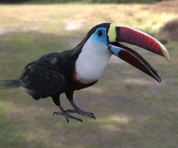 Modern Flying Animals-ID:900784028