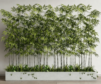 Modern Plant Landscaping-ID:683419776