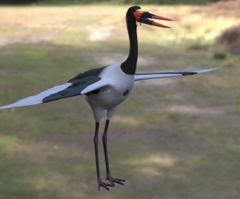 Modern Flying Animals-ID:627099992