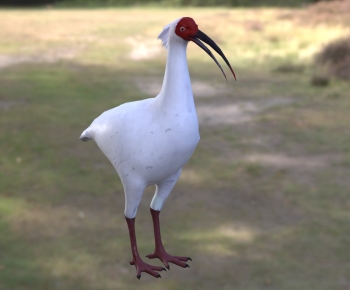 Modern Flying Animals-ID:197737937