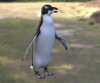 Modern Poultry Animal-ID:225178007