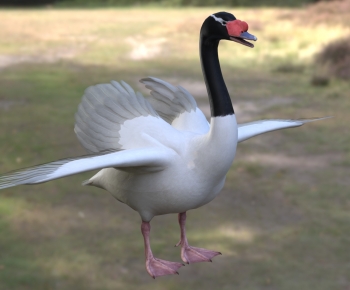 Modern Flying Animals-ID:955564985