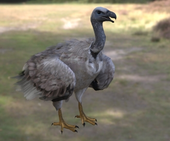 Modern Flying Animals-ID:435545922