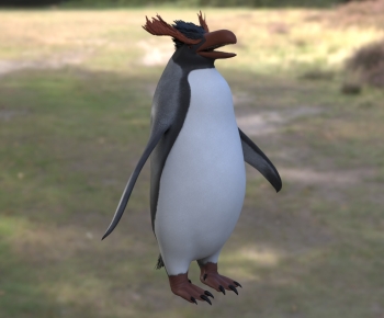 Modern Aquatic Animals-ID:246334086