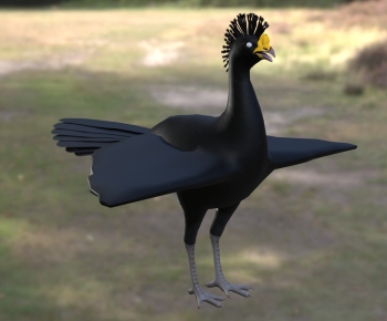 Modern Flying Animals-ID:640189656