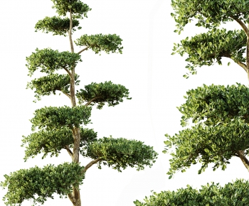 Modern Tree-ID:625279902