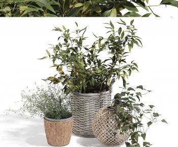 Modern Ground Green Plant Potted Plants-ID:206238032