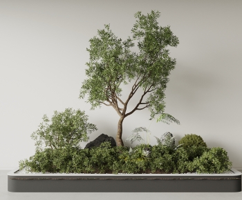 Modern Plant Landscaping-ID:124325991