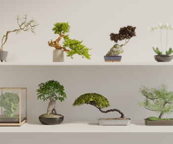 New Chinese Style Bonsai-ID:195960047