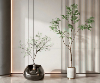 Modern Ground Green Plant Potted Plants-ID:720546014