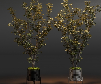 New Chinese Style Bonsai-ID:300550944