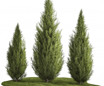 Modern Tree-ID:716006994