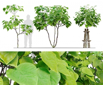 Modern Tree-ID:948837046