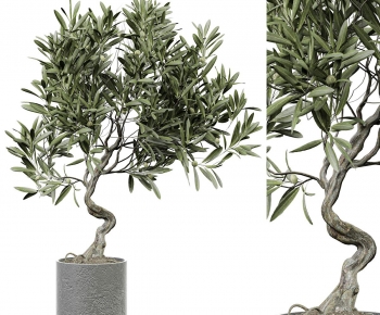 Modern Ground Green Plant Potted Plants-ID:831928014