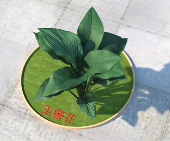 Modern Flowers And Grass-ID:256911044