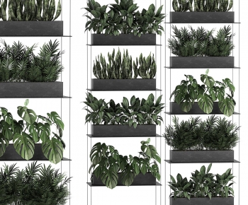 Modern Shrubbery-ID:723860399