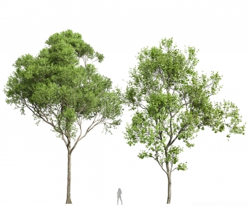 Modern Tree-ID:804953107