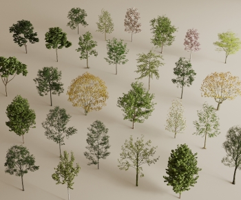 Modern Tree-ID:753917932