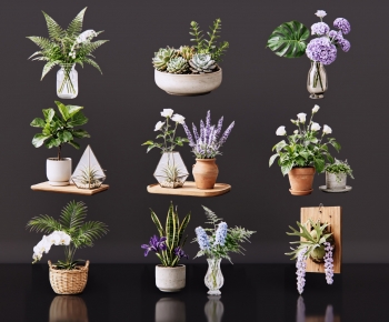 Modern Ground Green Plant Potted Plants-ID:742477892