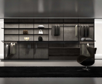 Modern Clothes Storage Area-ID:173456918