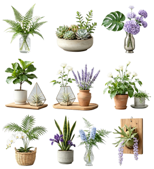 ModernFlowers