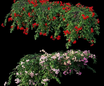 Modern Flowers And Grass-ID:492522002