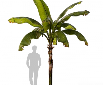 Modern Tree-ID:129472978