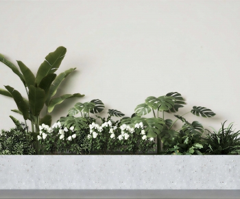 Modern Plant Landscaping-ID:412714002