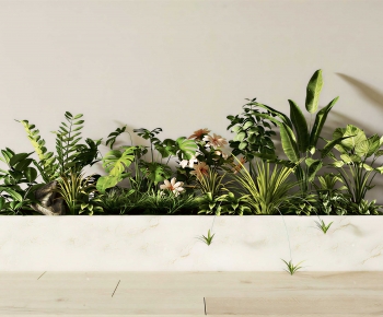 Modern Flower Bed, Flower Bowl, Flower Box-ID:286419485