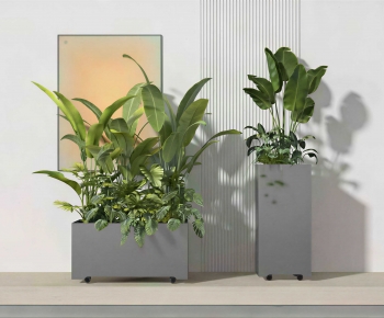 Modern Ground Green Plant Potted Plants-ID:183660987