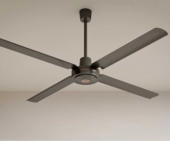 Modern Fan-ID:379580024