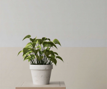 Modern Potted Green Plant-ID:782236107