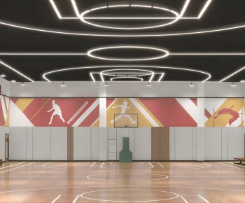 Modern Basketball Arena-ID:446237098