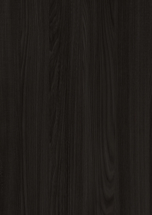 ModernWood Texture