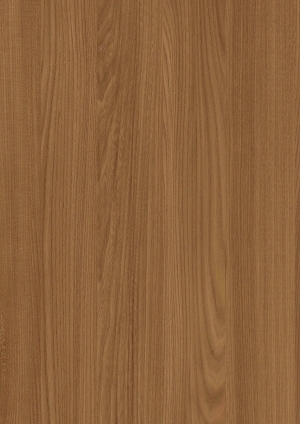 ModernWood Texture