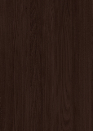 ModernWood Texture