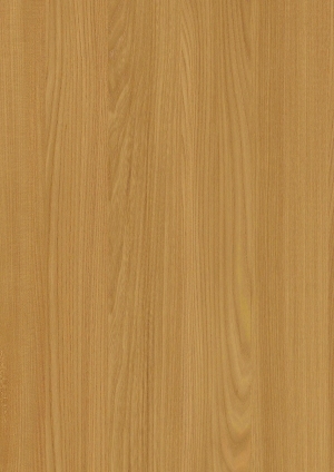 ModernWood Texture