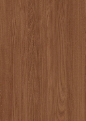 ModernWood Texture