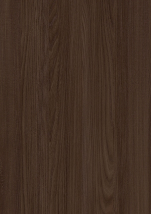 ModernWood Texture